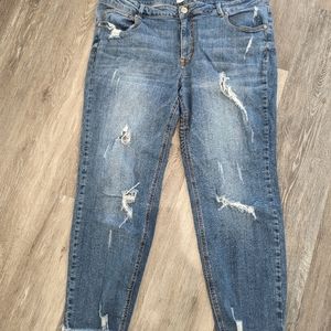Eloquii denim